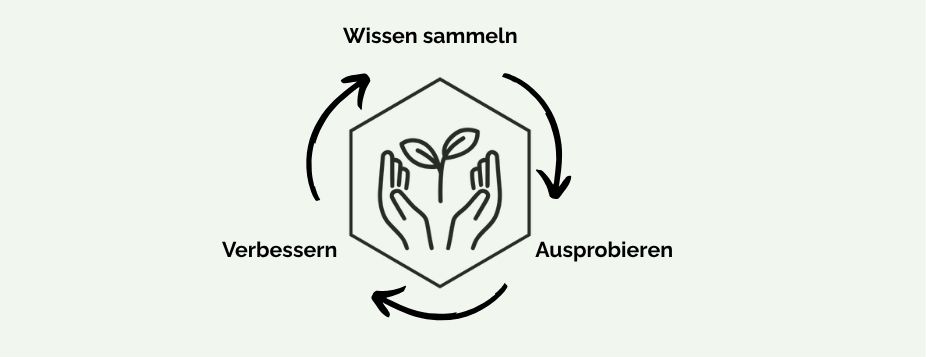 Grafik auf hellgrünem Hintergrund. In der Mitte ist das Logo des Verbindungsgartens. Darum angeordnet ist der Kreislauf aus Wissen sammeln, ausprobieren, verbessern.